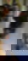 679780719
