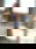 631233281