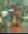 603118755