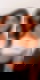 603857496