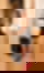 637161915