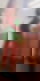698861577