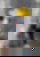 672924888