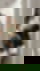 662570830