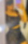 662965444