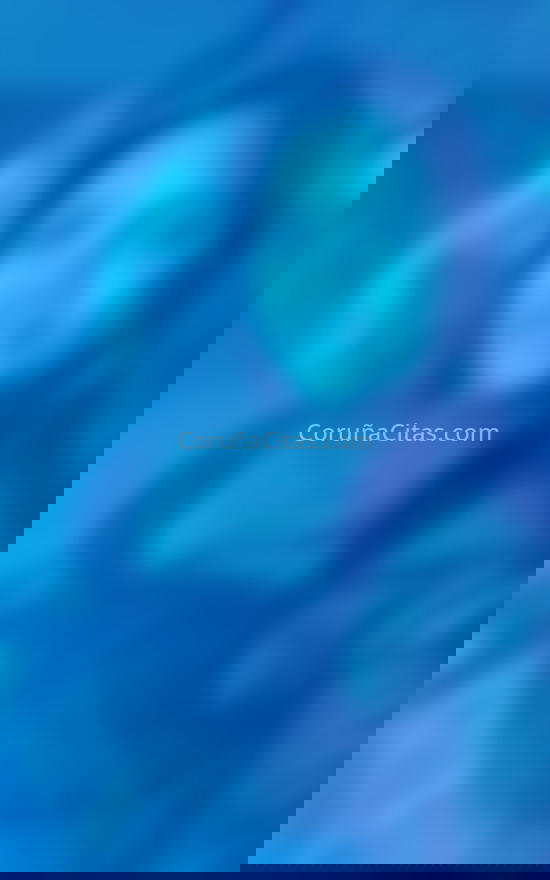 Gina, chica venezolana. 603341820. Citas en A CORUÑA, A CORUÑA. www.coruñacitas.com.