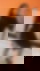 663476093