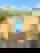641585040